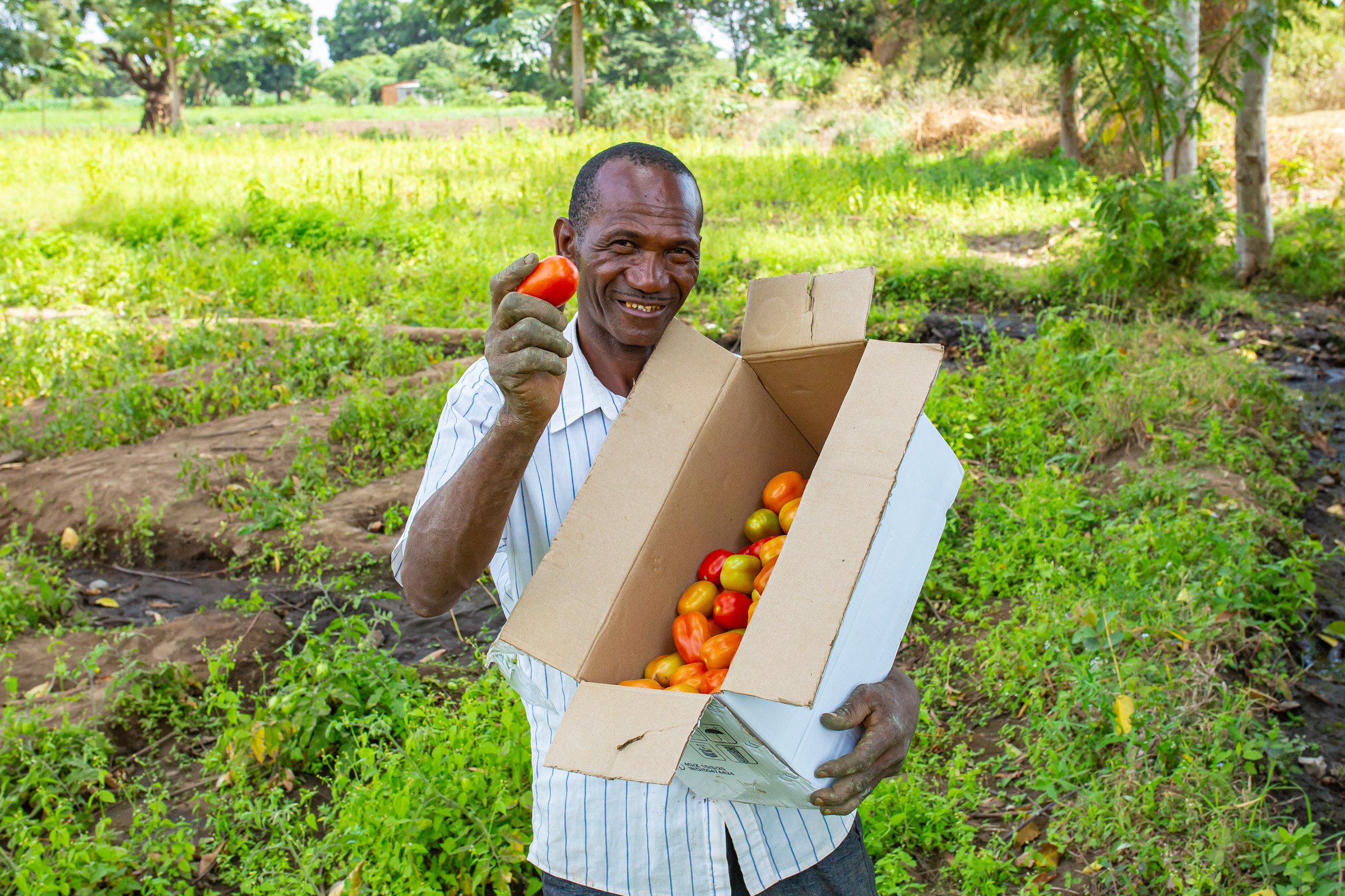 The Tanzanian Agriculture Sector Enabling Environment For Key Value 